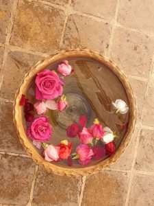 خواص گل محمدی و گلاب