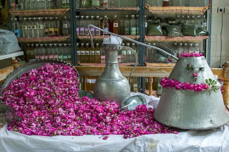 خواص گل محمدی و گلاب در طب سنتی