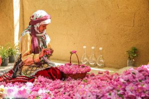 گلاب و گلاب گیری در ایران