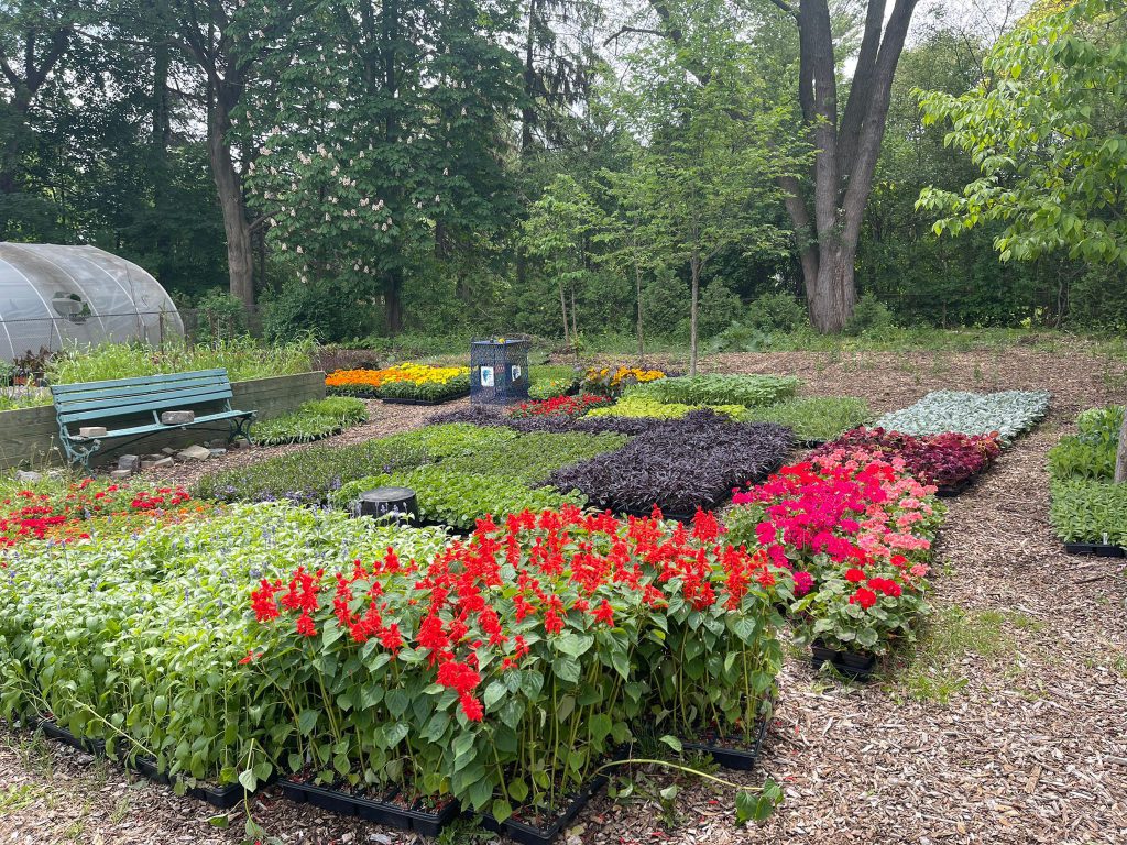 باغ ورودی گیاه شناسی تورنتو