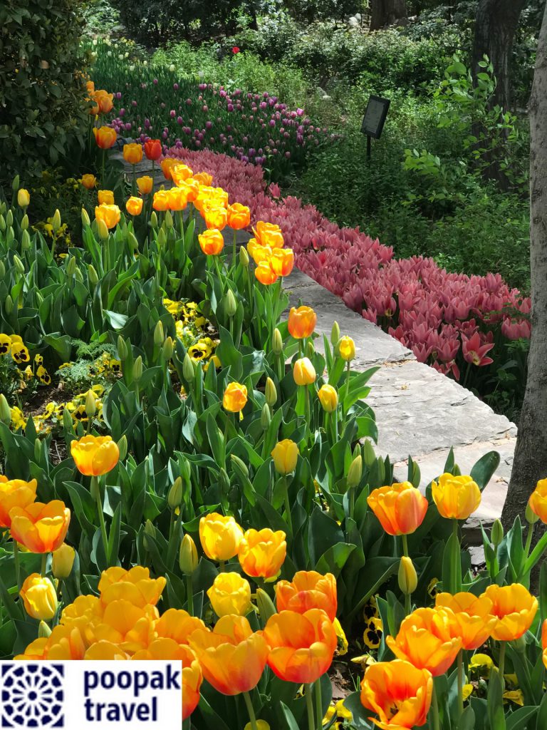 باغ گل لاله تهران